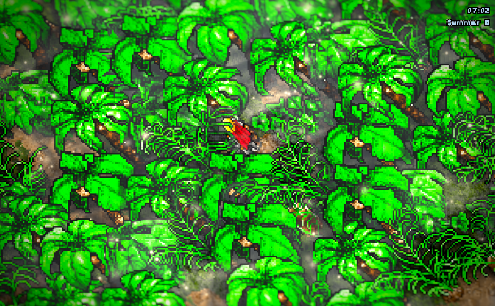 A jungle at 7 in the morning, relit