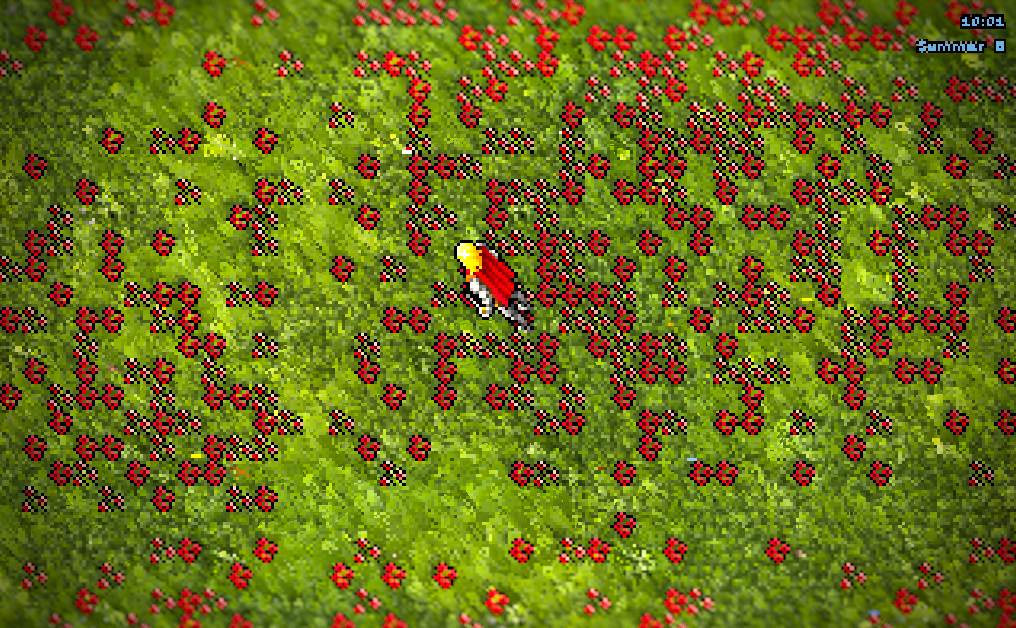 A poppy meadow, relit