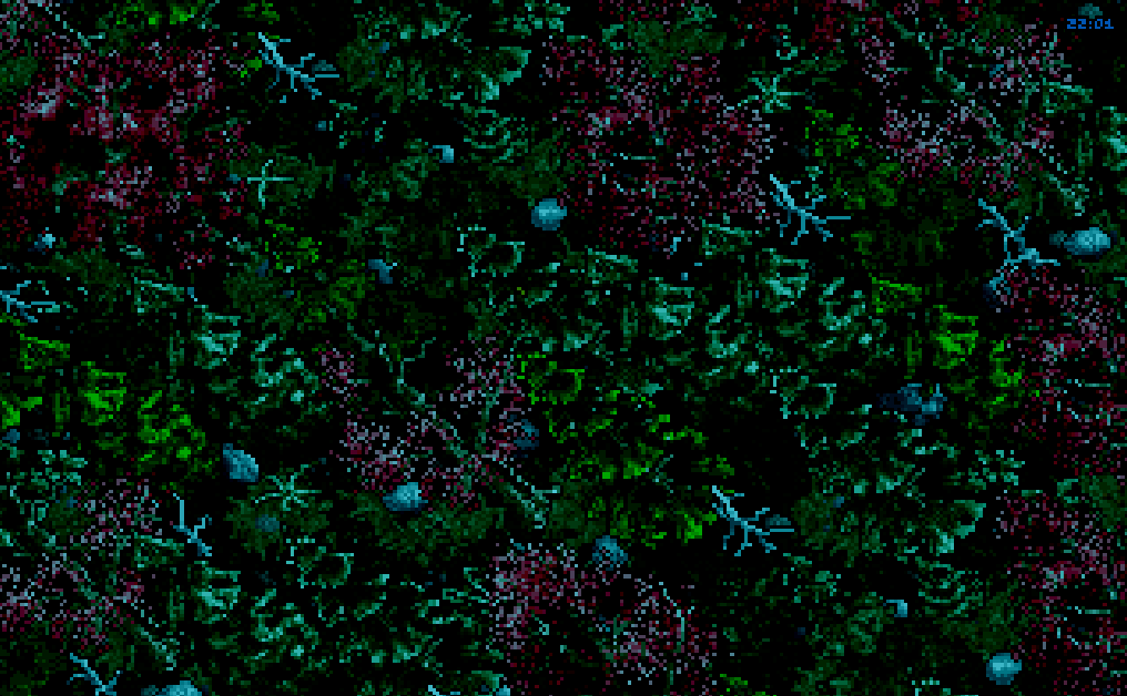 The woods near Yew at night, original