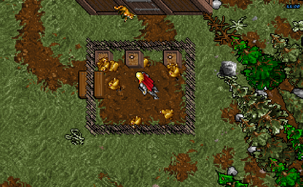 A chicken coop on a farm near Britain at 11:00, original